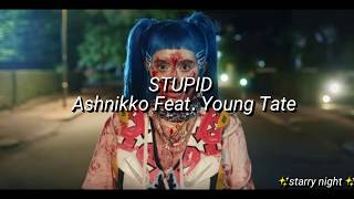 STUPID- Ashnikko Feat. Young Tate lyrics (legendado)