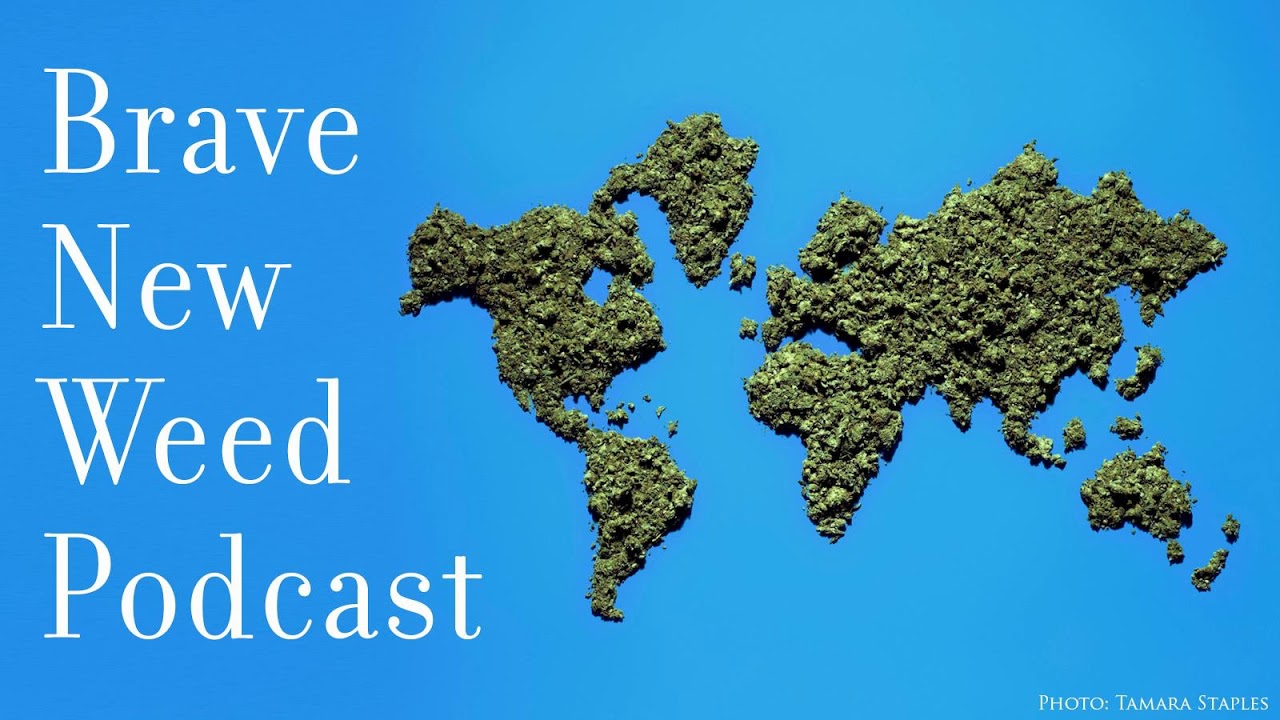 Bonus - The (Complicated) Future of Cannabis Media - A Panel Discussion in Two Acts