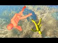 Drop the Ragdolls and tease them - Overgrowth