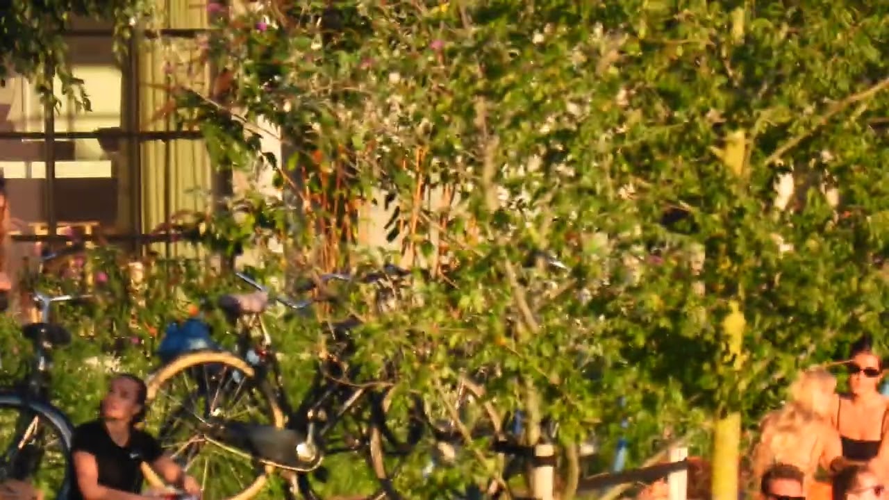 Nikon Coolpix p 950 4k zoom test moon 🌙