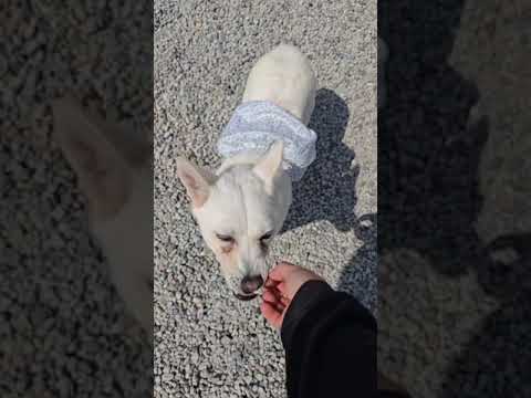 Yeolmoo Is Careful Not To Bite Her Hand