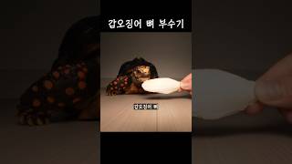 돌아온 뼈먹기