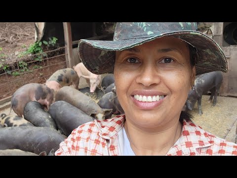 FEIRA DO PRODUTOR RURAL DE ITAPURANGA GOIÁS, DIA MUITO TRABALHO E CORRIDO.