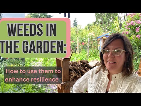 Video: Aggressiewe tuinplante - Hanteer indringeronkruide in die tuin