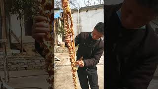 061 🍄🥭🌳🌿🍊 Tools for viewing bamboo smoke #CulturalDiscovery #SmokeViewingTradition #BambooCraft