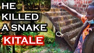 ABANDONED SWIMMING POOL IN MY RURAL HOME IN KITALE / MY COUSIN KILLED A SNAKE GERMAN SHEPHERD PUPPY