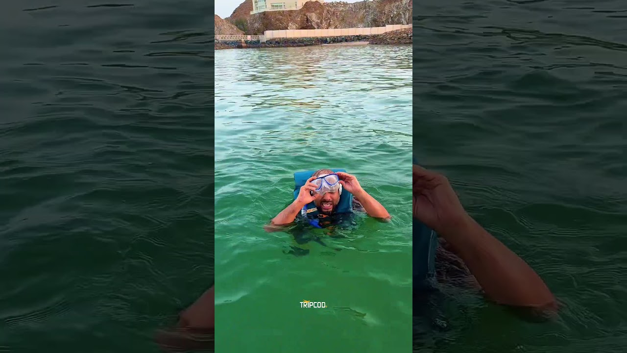 Сноркелинг на борту прогулочного катера Dibba Dhow Cruise в Фуджейре ⛴️ Обязательно попробуйте ❤️...