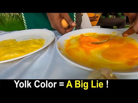 Why Are People Obsessed With Yellow Yolks 