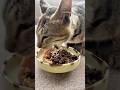 😺「3日ぶりに来ました」また一歩前進👍#細マッチョ