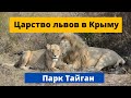 Царство львов в Крыму, Парк Тайган