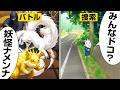 雷獣&鎌鼬 vs 山賊…と座敷童チーム【怖い話】