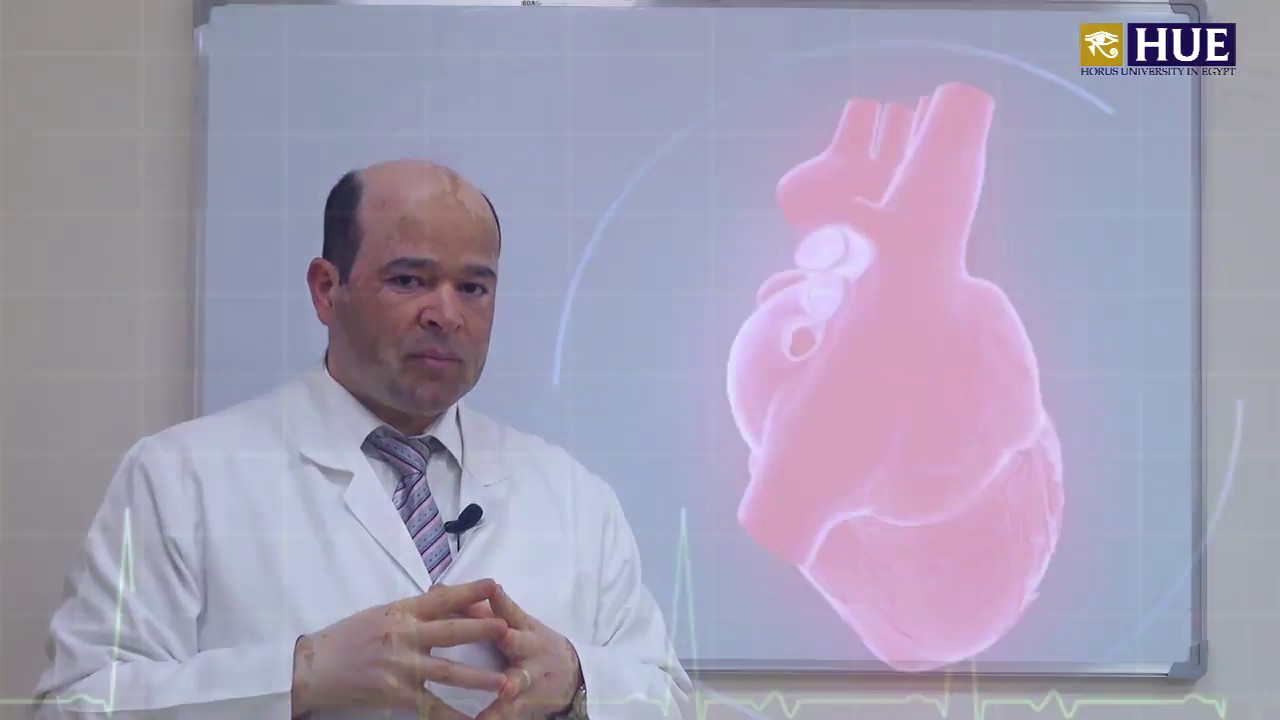 Basics of Heart Sounds - Dr Lashin Saad - HUE