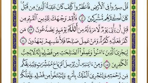 الصفحة ( 409) من القرآن الكريم سورة الروم _ مصحف التقسيم الموضوعي _