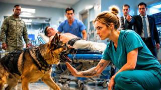 K9 Refused Every Doctor—Until a Night Nurse Spoke One Word That Revealed Her Military Secret