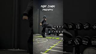 Fight Combo #tutorial #youtubeshorts #ytshorts #usa #russia #mma #shorts #yt #shortvideo #sports
