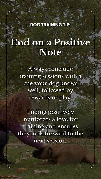 How to End Training Sessions Positively: Boost Engagement & Success