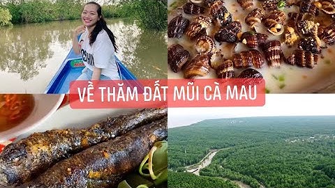 Đặc Sản Đất Mũi Và Trải Nghiệm Tour Xuyên Rừng Ngập Mặn Mũi CÀ MAU| RNM Lớn Thứ 2 Thế Giới