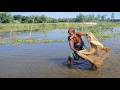 Best Village Net Fishing Video - Cast Net Fishing in Pond - Old Fisherman Catch Fish by Net