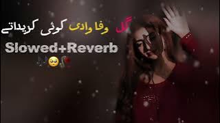 Gal wafawaan di | New Sara ki song | Slowed Reverb 2025 song