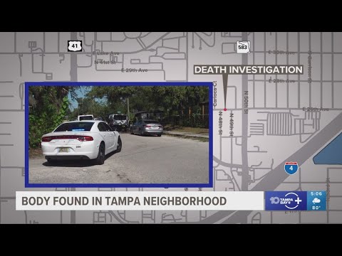 Man found dead in Tampa, investigation underway - YouTube