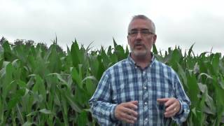 Discipleship: The Great Adventure Promo Video