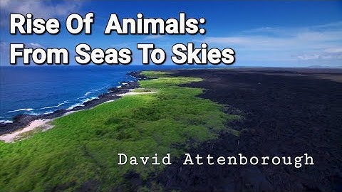 RISE OF ANIMALS: From The Seas To The Skies David Attenborough(No Ads)