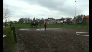 20091125_les.avi