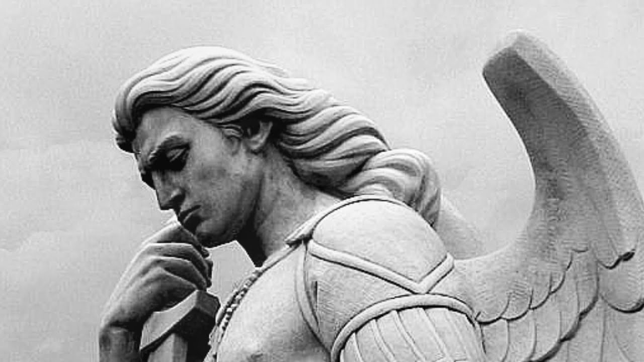 Memoir Enchordis-Septos