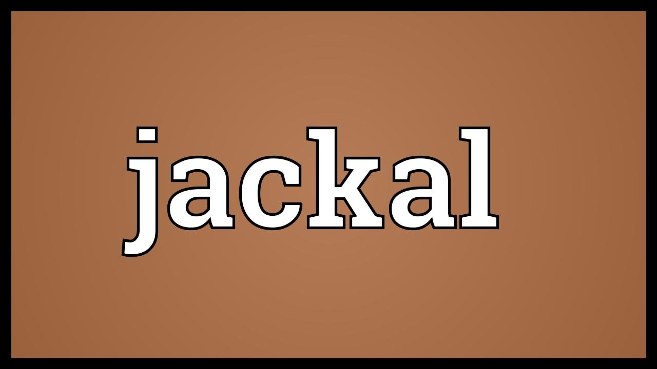 Meaning In Tamil Jackal MEANCRO
