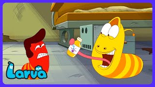 ¡Corte de Pelo en Marte! 🚀 - Larva in Mars | WildBrain Club de Comedia - Castellano