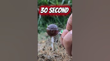 Satisfying Lollipops Melting Under Heat | Relaxing Close-Up 🔥🍭