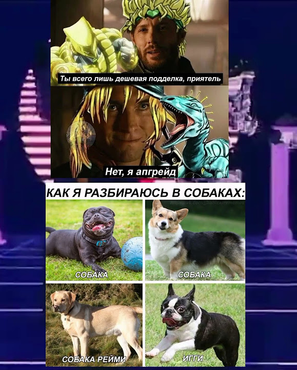 Джо Джо мем#31 #мем #джоджо #мемы #джоджомемы #рекомендации #shorts ...