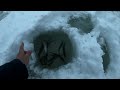Хариус зимой.Немного дают.