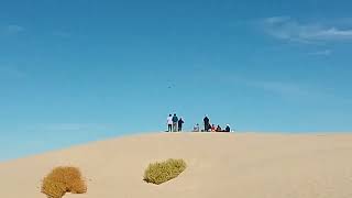 dunas de bilbao Viesca coahuila