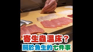 寄生蟲溫床 關於魚生的七件事 身體很誠實 Honest Body 寄生蟲溫床 關於魚生的七件事 身體很誠實 Honest Body