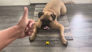 Koa Spells Ms S