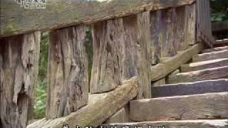 20100726-2《靜思晨語。慈濟宗門》安住清淨本性
