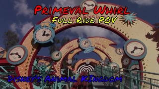 Primeval Whirl POV at Disneys Animal Kingdom