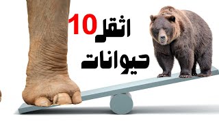 هل تعلم من هم اثقل 10 حيوانات في العالم ؟ وكم وزن اثقل حيوان