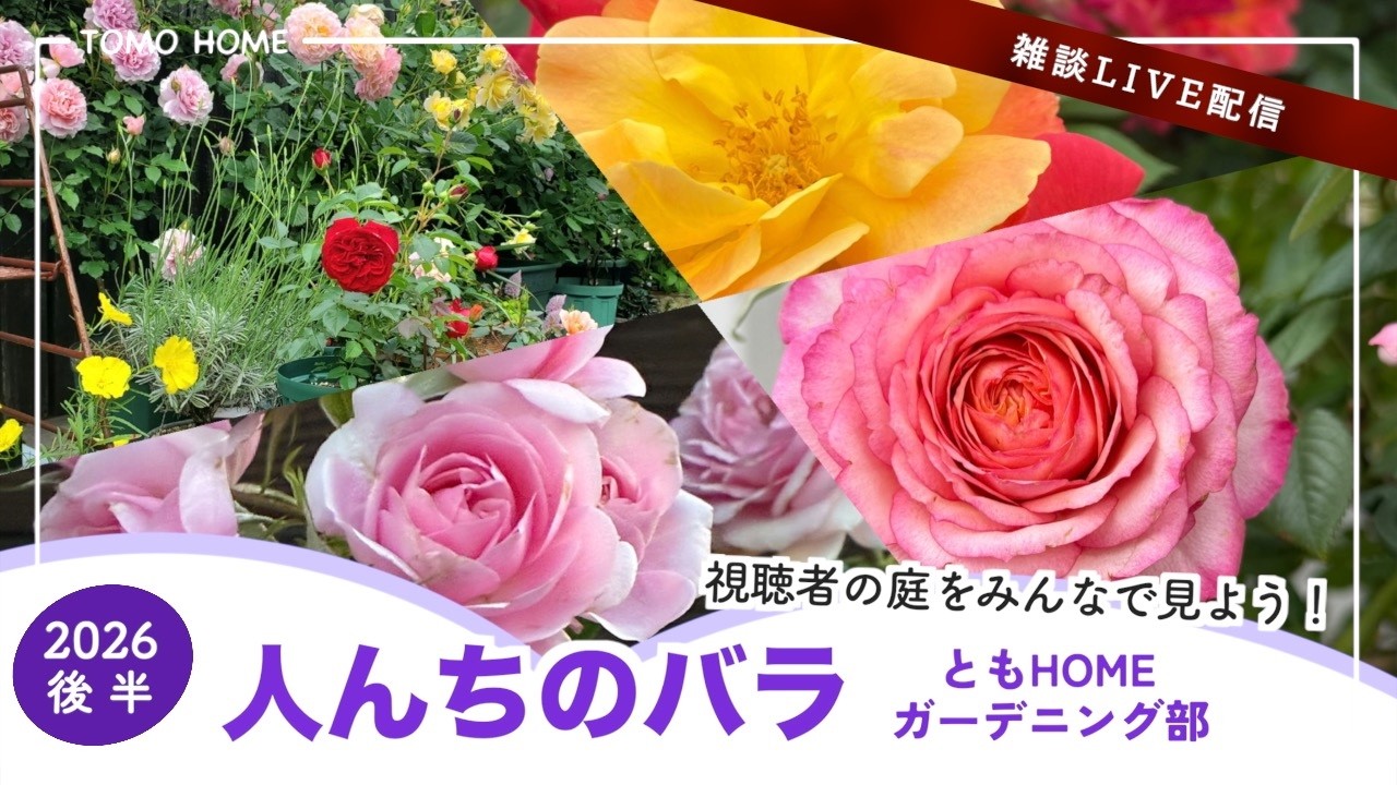 秦森康屯　バラ 6/27 21時〜】ともHOME バラ部 人んちの庭を見てアレコレ言おう【後半