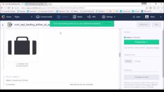 Celebrity Uploading/Editing Airline Pages in Contentful Net Worth