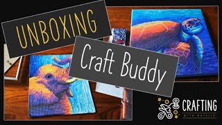 Two pre-framed diamond paintings by Rachel Froud from Craft Buddy - join be for the unboxing! screenshot 1