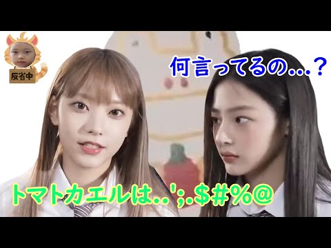 [NewJeans]オタクなヘリン!!★トマトカエルへの愛を語るヘリン‼[日本語和訳]
