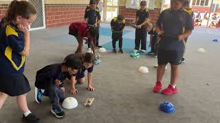 IMG 8891