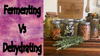 Fermenting Vs Dehydrating by Rain Country 3,444 views 1 month ago 15 minutes