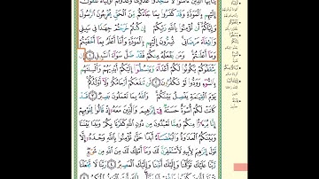 حفظ سورة الممتحنة آية 1 مكرر