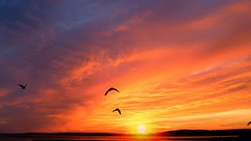 #sunrise Beautiful Sunrise Videos/Awesome Sunrise Video/Wonderful Sunrise Videos
