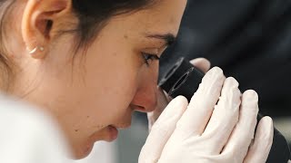 Grado en Ciencias Biomédicas (Biomedicina) I UIC Barcelona