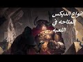 Legends of Runeterra Guide Types of decks انواع الديكس 