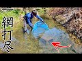 土管の中にいる魚を完全包囲して乱獲しまくってみた